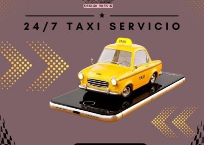 Alejandro Martínez Taxi 24 h